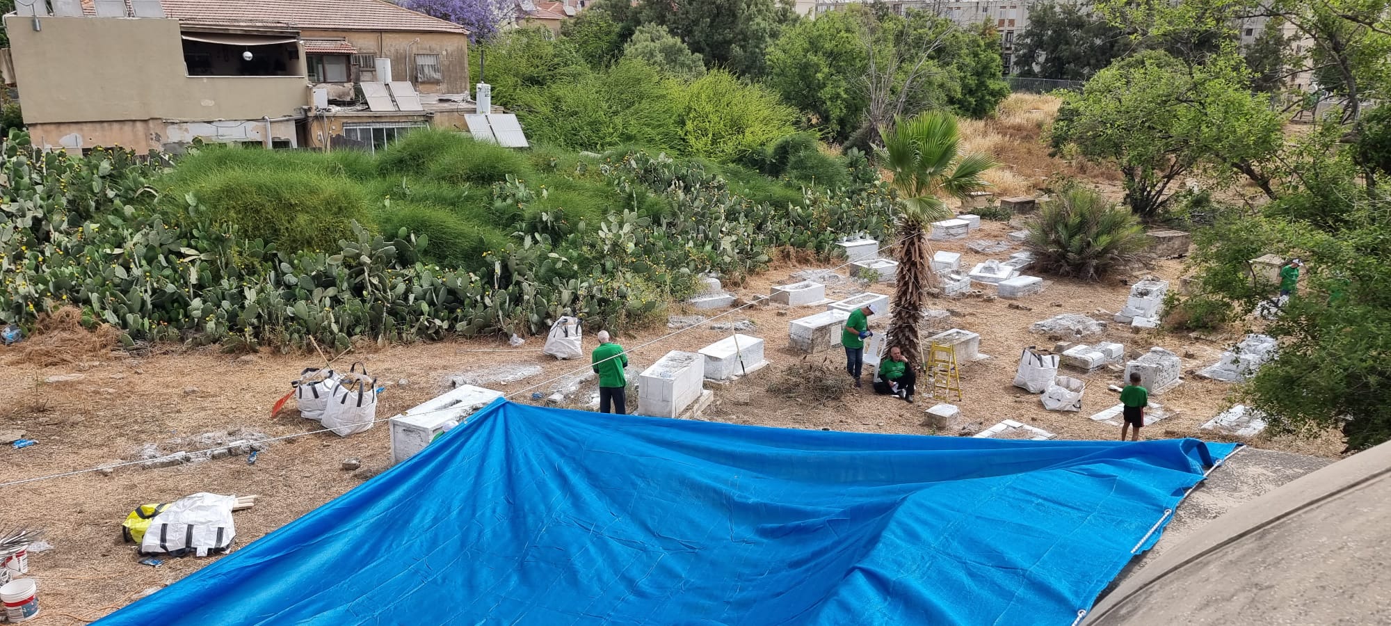 WhatsApp Image 2022-05-14 at 10.29.46 AM (2).jpeg